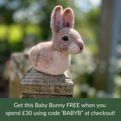 FREE WHEN YOU SPEND OVER £30 - Baby Bunny Needle Felting Craft Kit