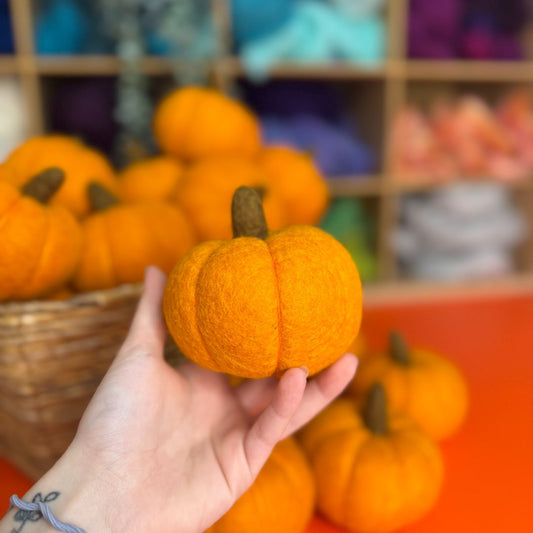 Wet Felted Pumpkin