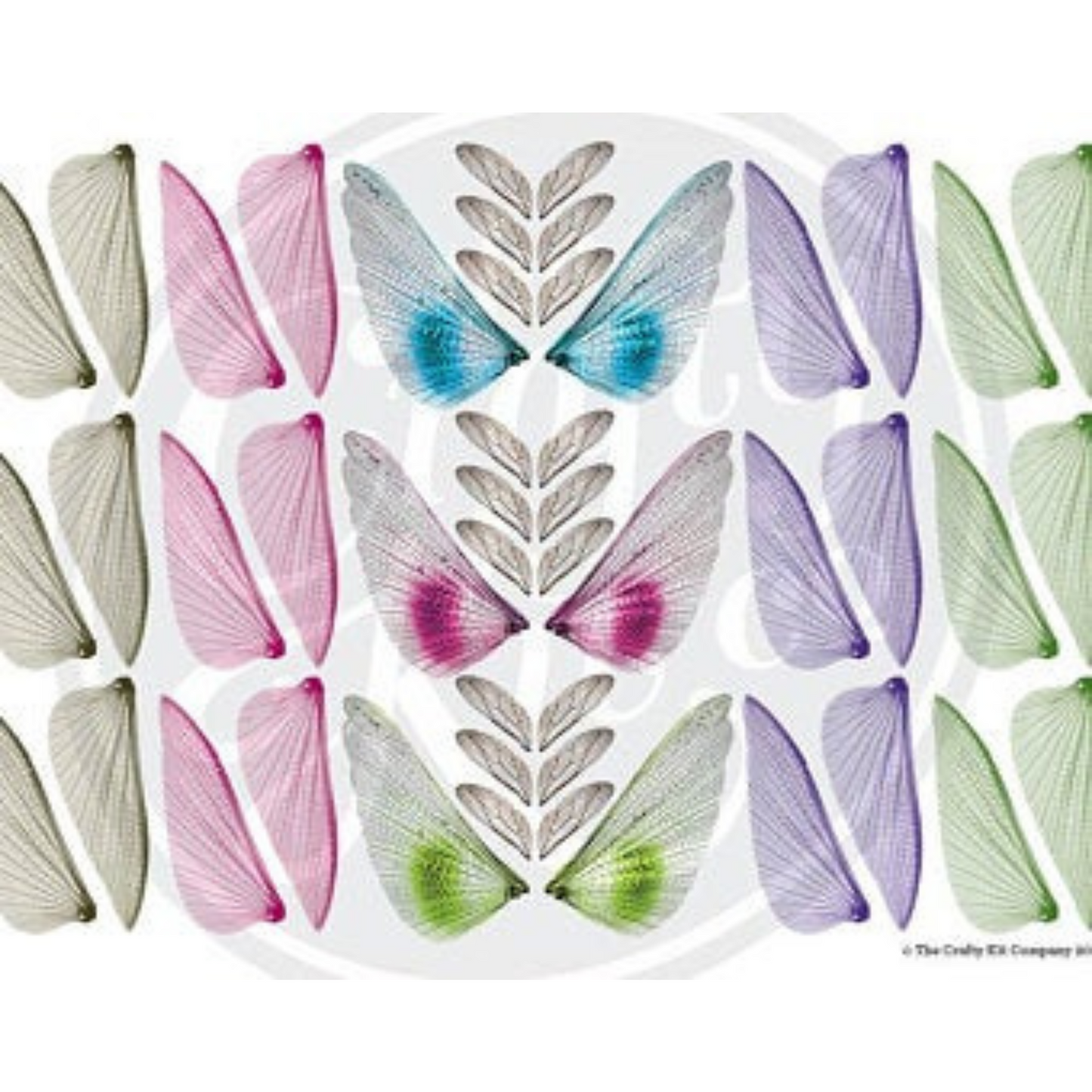 Coloured Fairy Wings Sheet