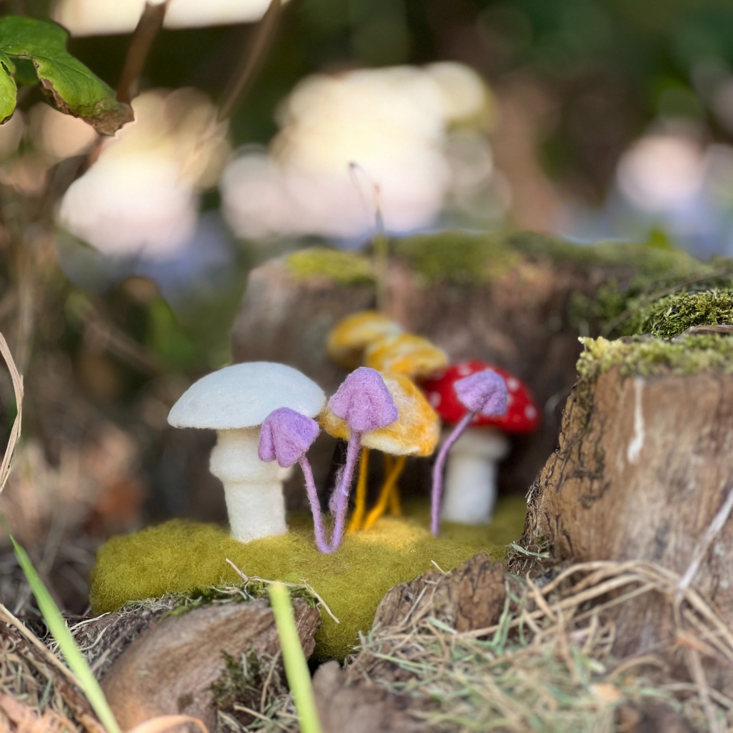 Woodland Toadstools Needle Felting Craft Kit