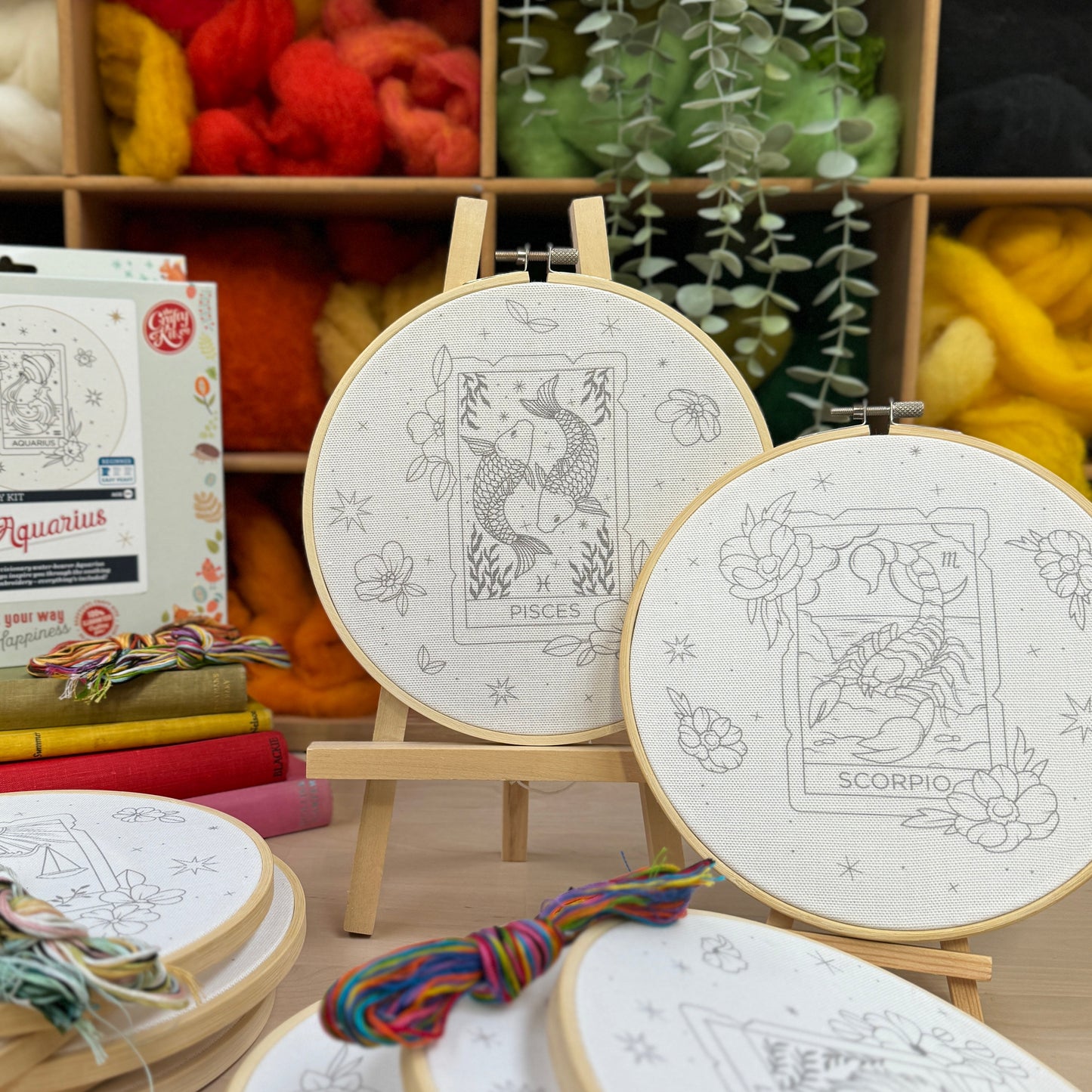 Signs of the Zodiac - Aquarius Embroidery Kit