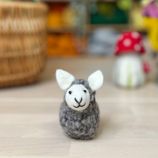 Grey Sheep