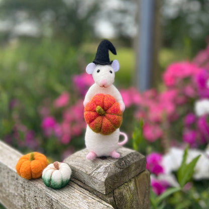 Hallowe'en Mouse Needle Felting Craft Kit