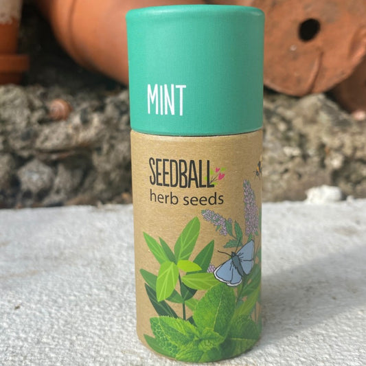 Mint Herb Seed Balls