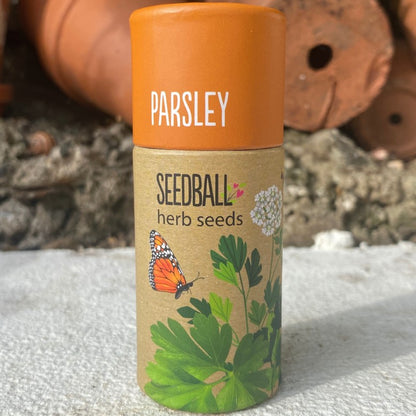 Parsley Herb Seed Balls