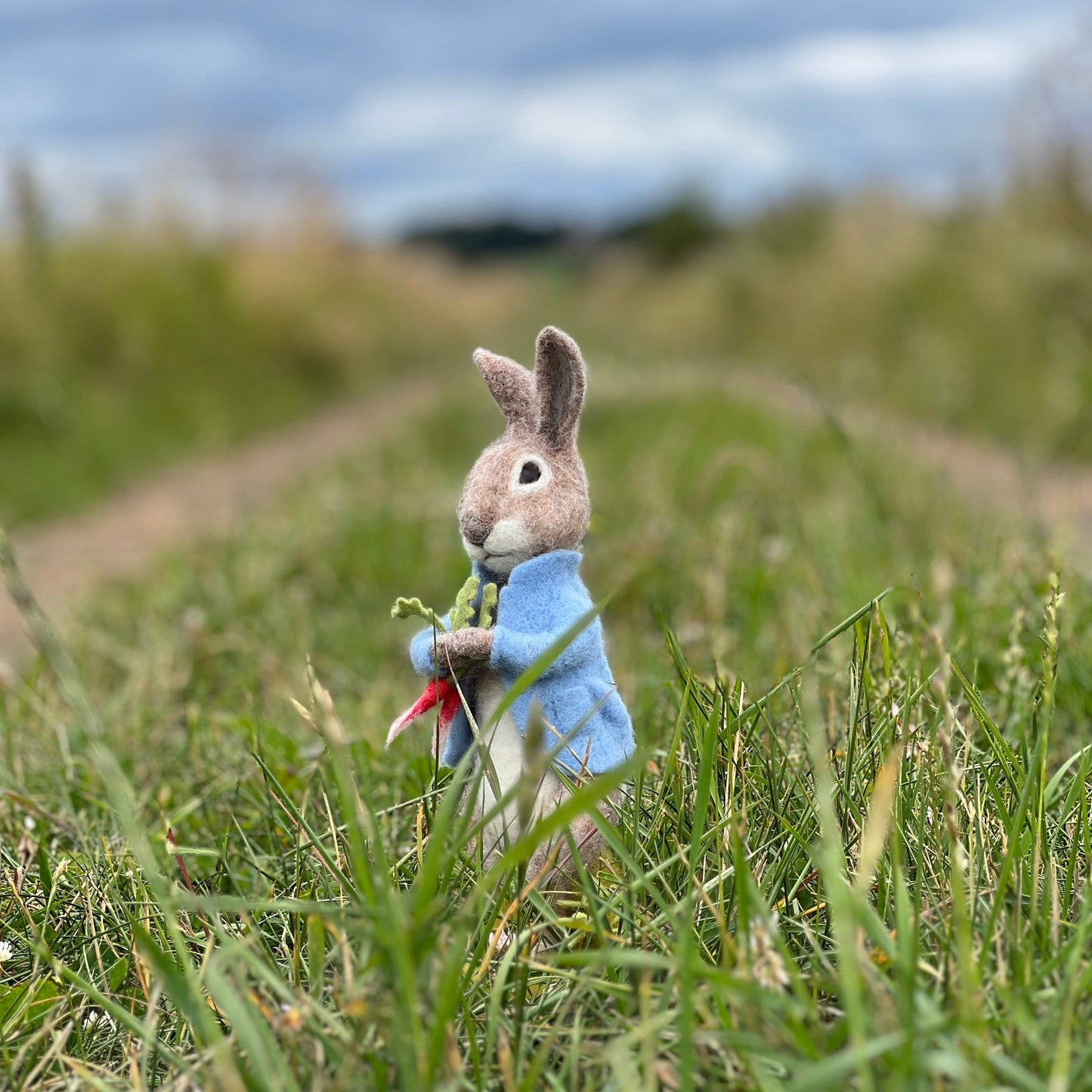 Beatrix Potter Needle Felting Bundle