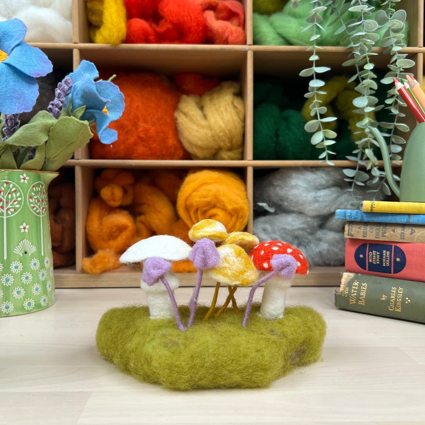 Woodland Toadstools Needle Felting Craft Kit