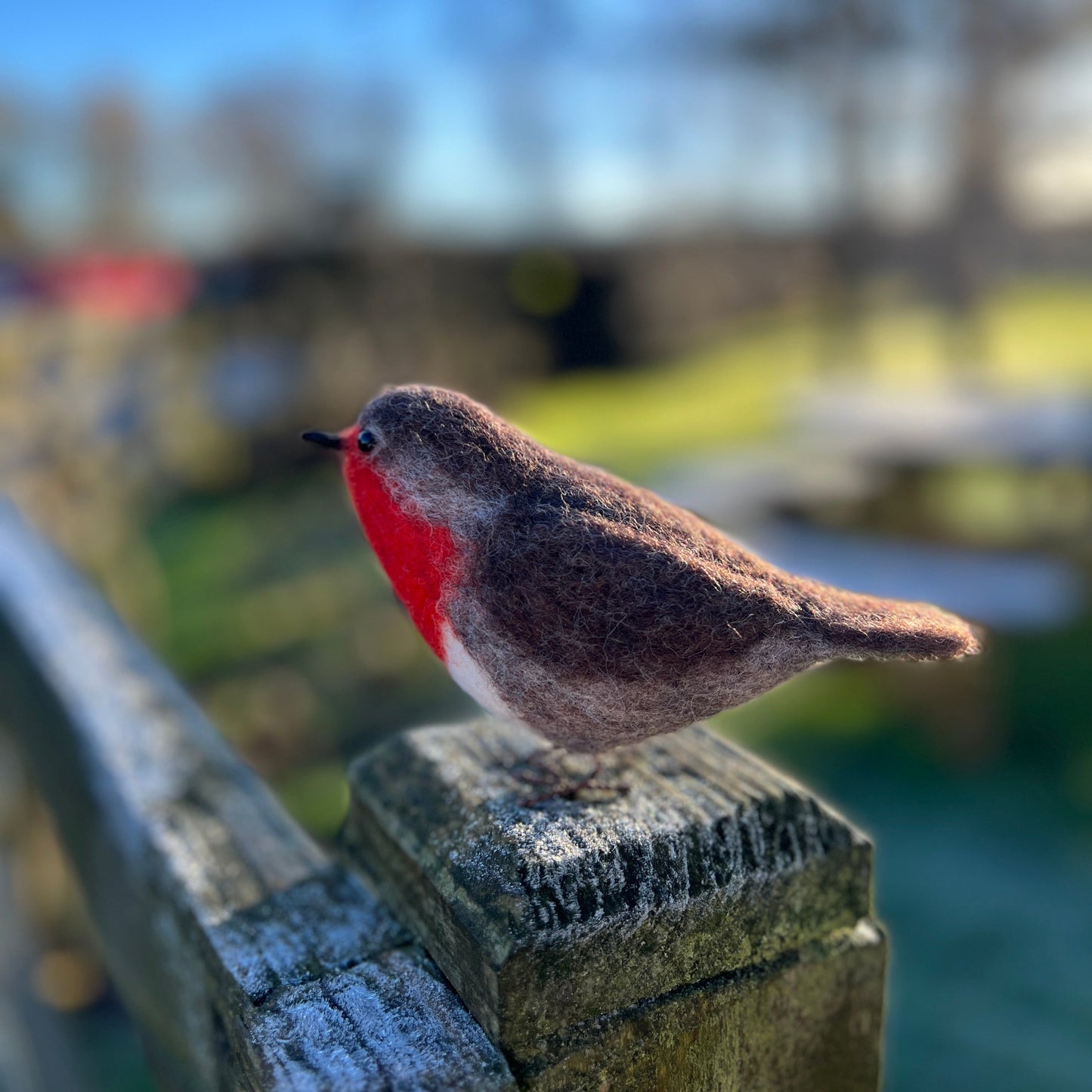 CKC Bird Needle Felting Bundle