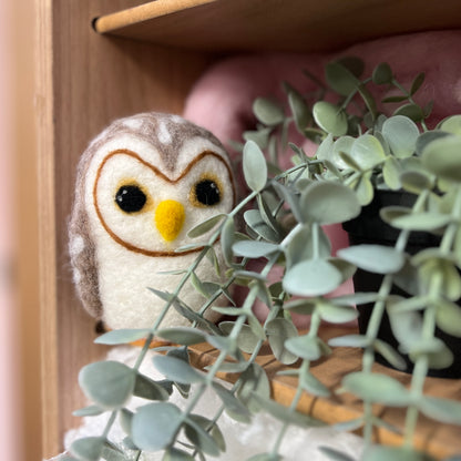 Baby Owl Needle Felting Craft Kit