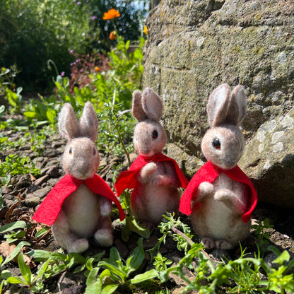 Beatrix Potter Needle Felting Bundle