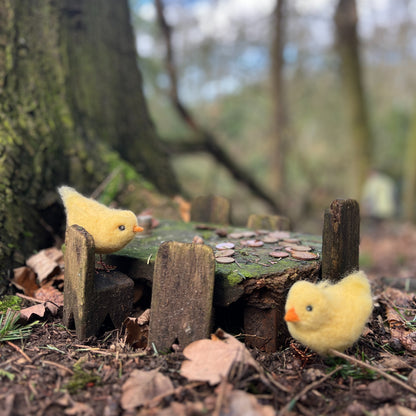 CKC Bird Needle Felting Bundle