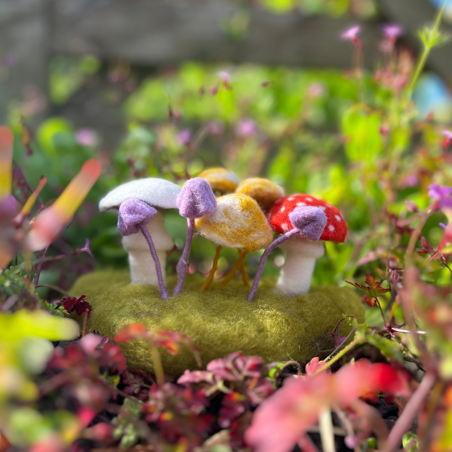 Woodland Toadstools Needle Felting Craft Kit