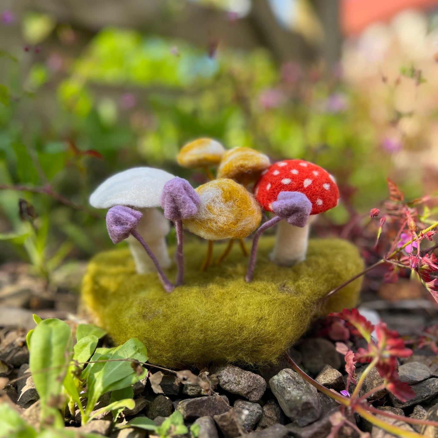 Woodland Toadstools Needle Felting Craft Kit