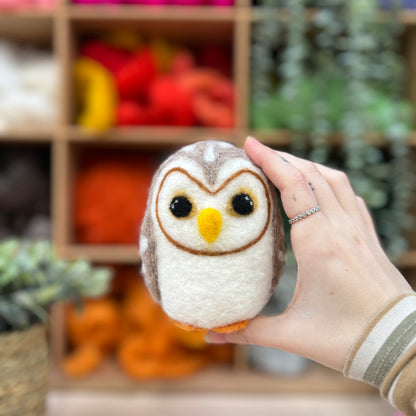 Baby Owl Needle Felting Craft Kit