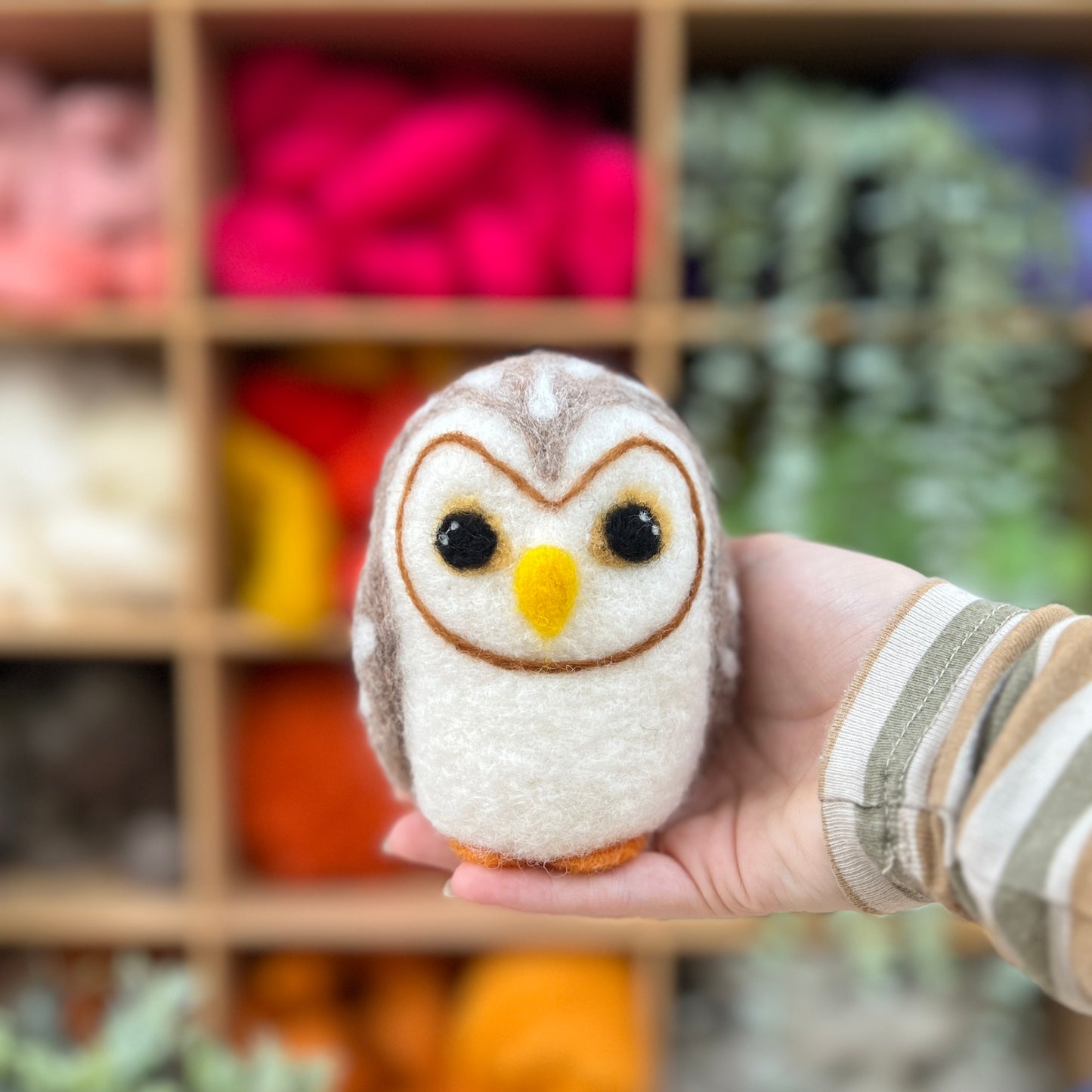 Baby Owl Needle Felting Craft Kit