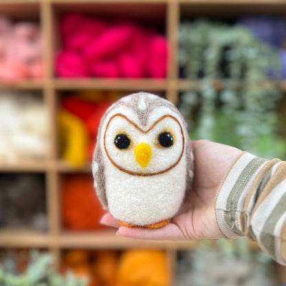 Baby Owl Needle Felting Craft Kit