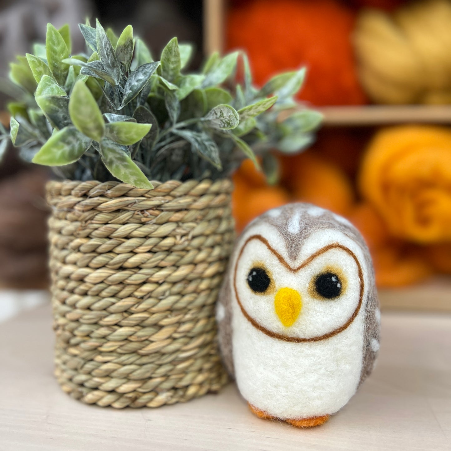 Baby Owl Needle Felting Craft Kit