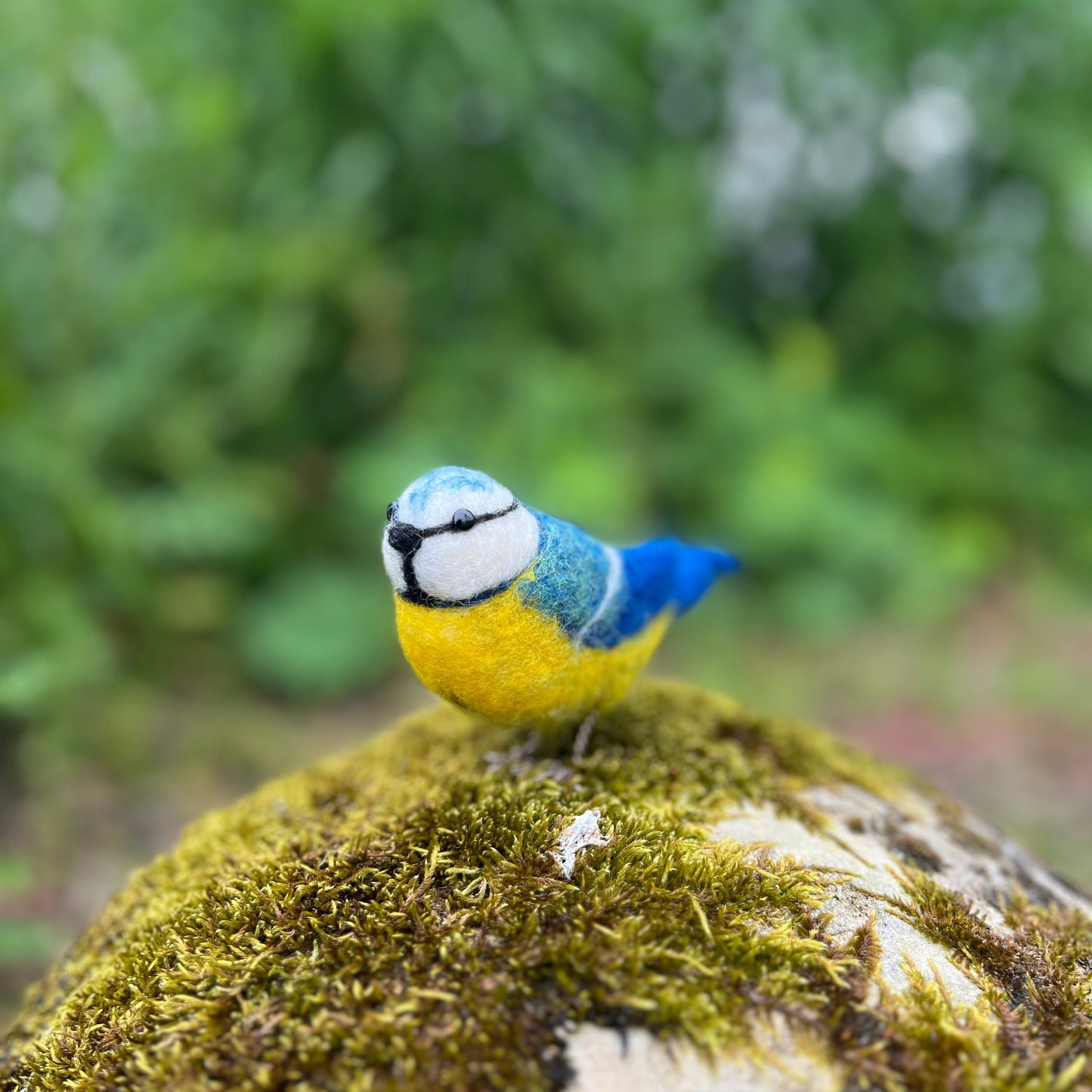 CKC Bird Needle Felting Bundle