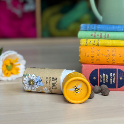 Oxeye Daisy Wildflower Seed Balls