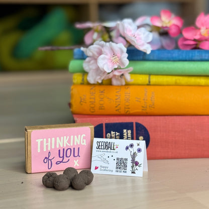 Seedball 'Thinking of You' Matchbox