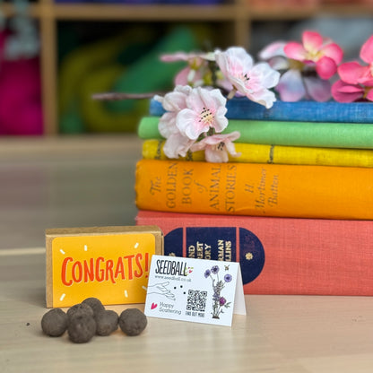 Seedball 'Congrats' Matchbox