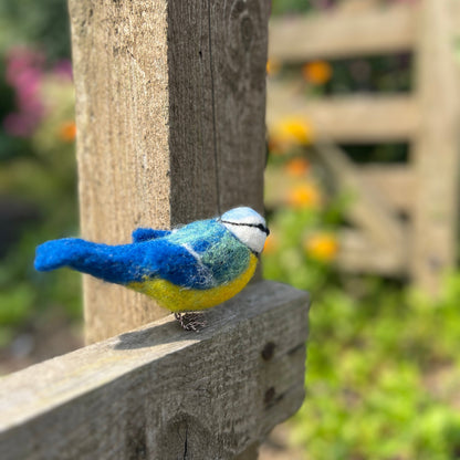 CKC Bird Needle Felting Bundle