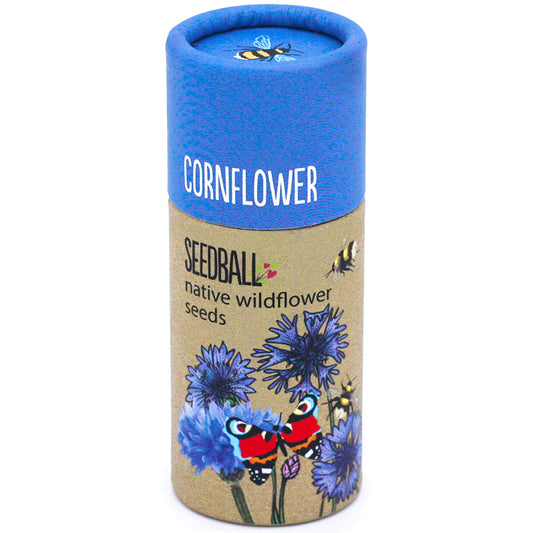 Cornflower Wildflower Seed Balls