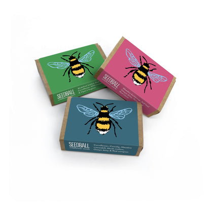 Seedball Bee Matchbox