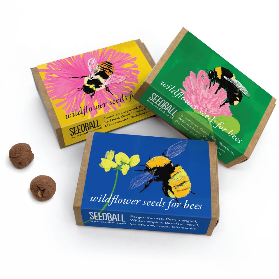 Seedball Bumblebee & Flower Matchbox