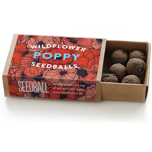 Seedball Poppy Matchbox