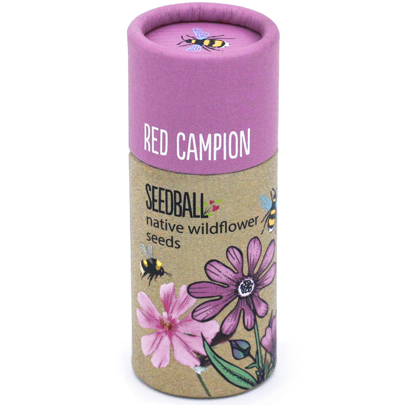 Red Campion Wildflower Seed Balls