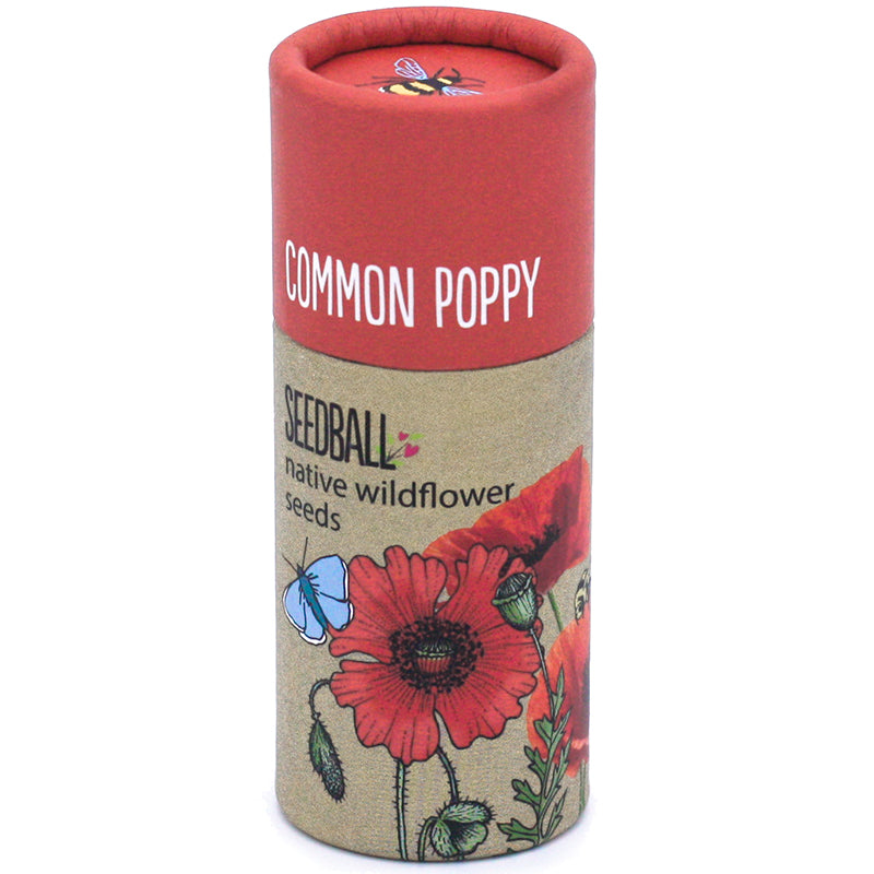 Common Poppy Wildflower Seed Balls