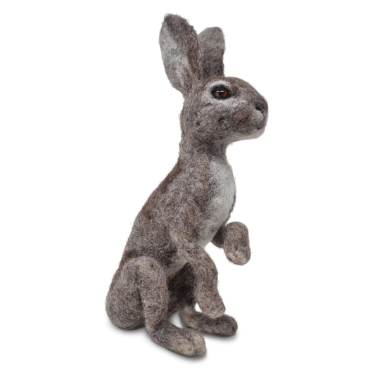 Wild Scottish Hare Needle Felting Craft Kit