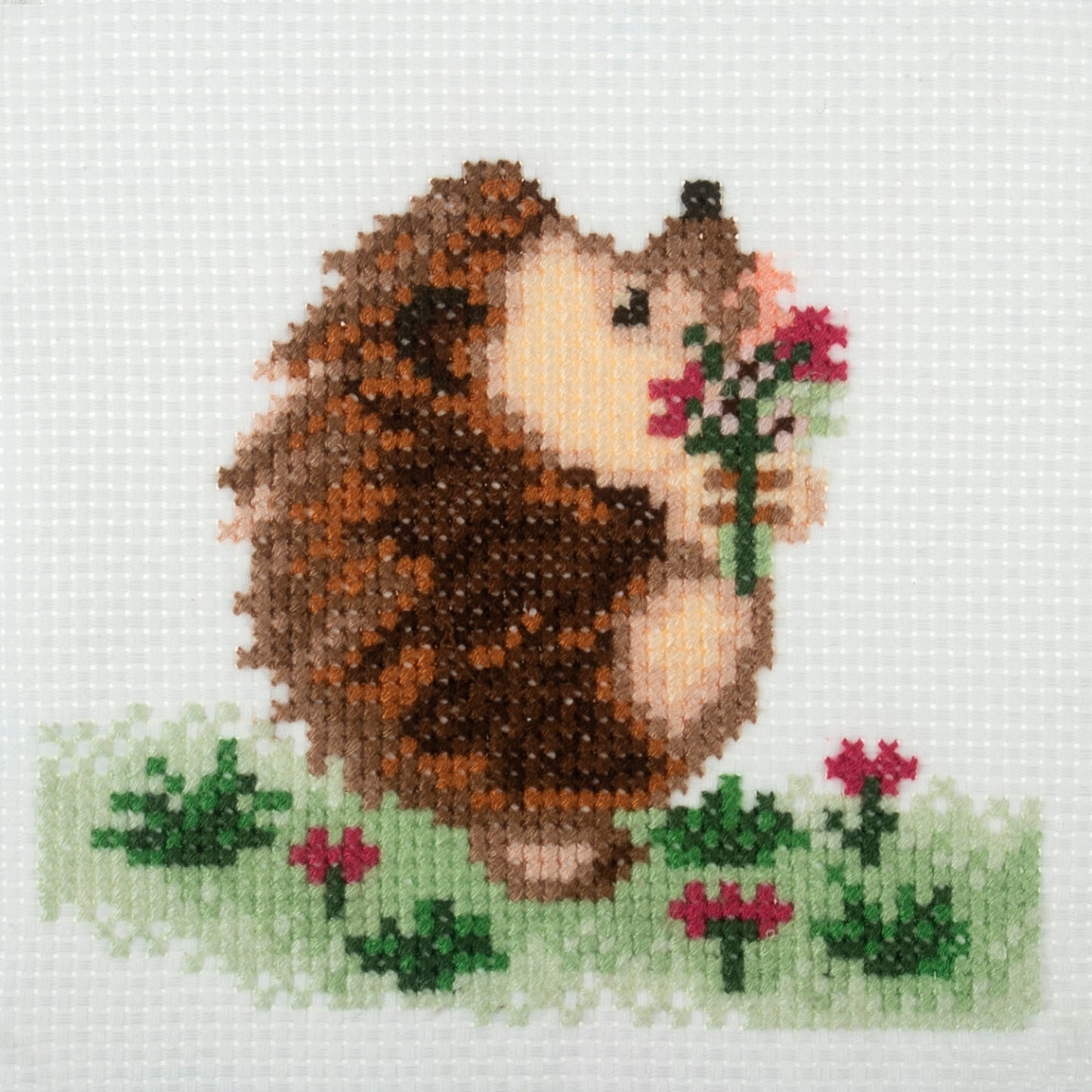 Trimits Stitch your Own Hedgehog Cross Stitch Craft Kit