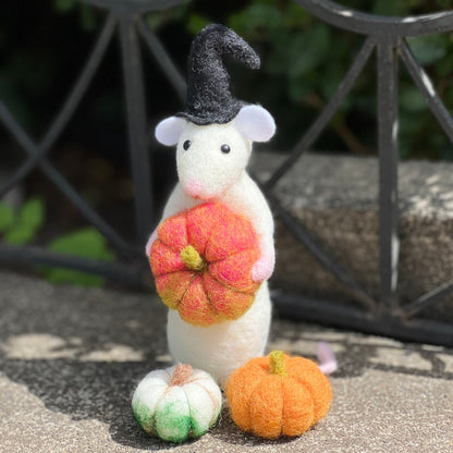 Hallowe'en Mouse Needle Felting Craft Kit