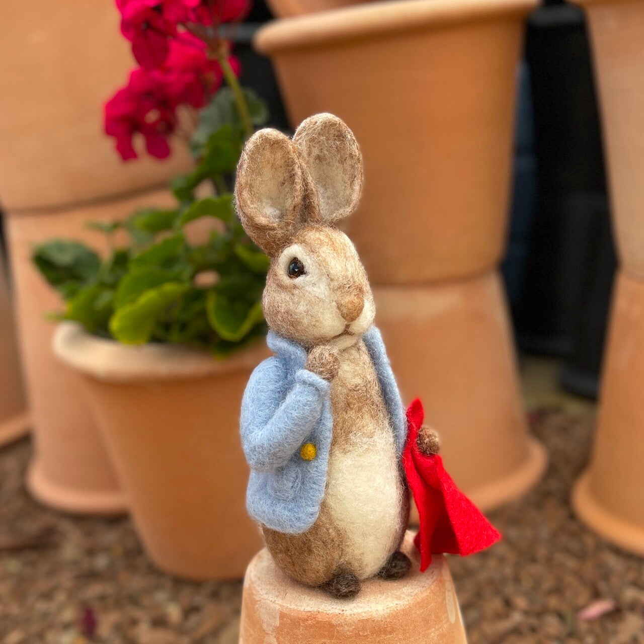 Beatrix Potter - Peter Rabbit and his Pocket Handkerchief Needle Felting Craft Kit