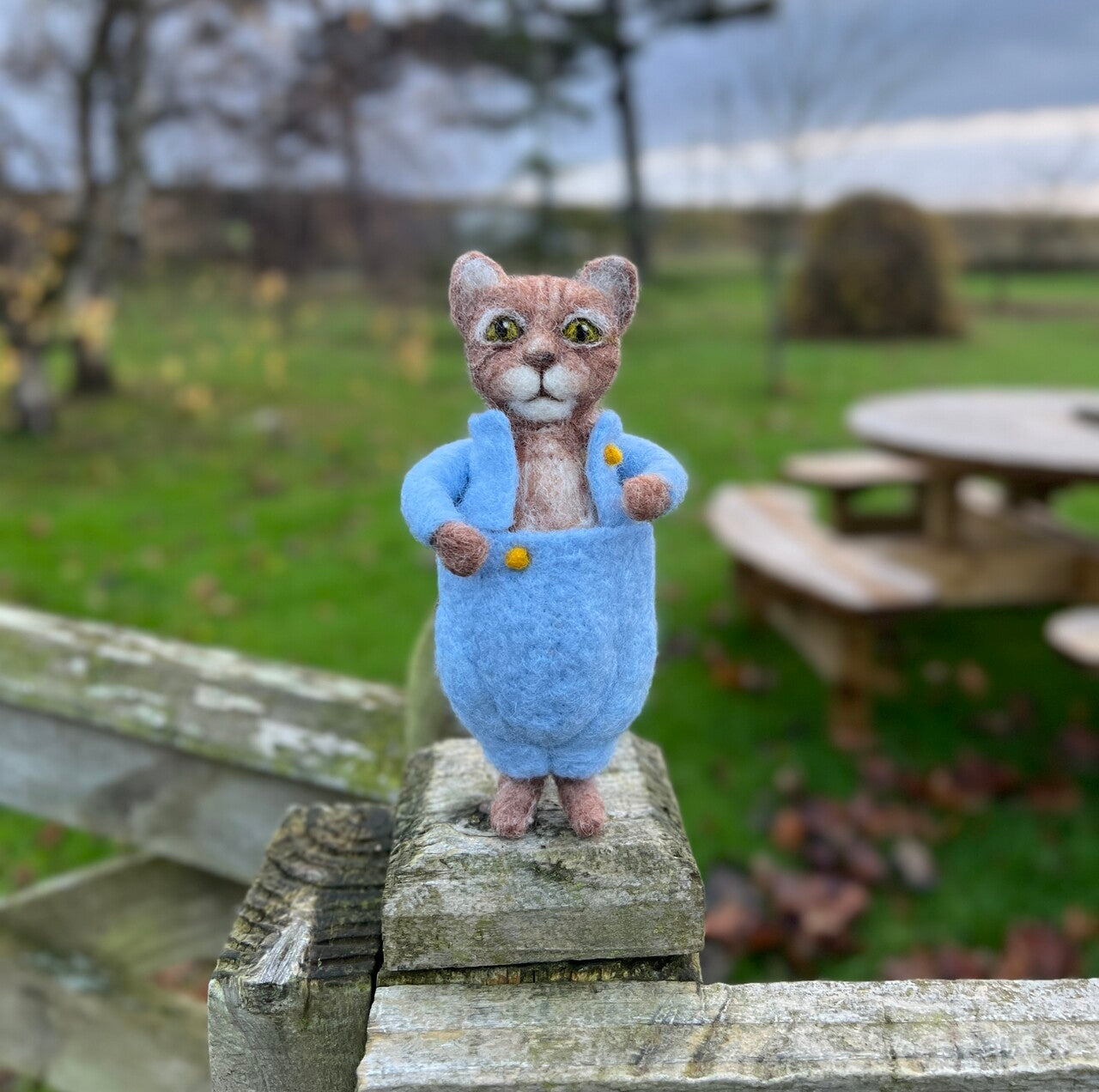 Beatrix Potter - Tom Kitten Needle Felting Craft Kit