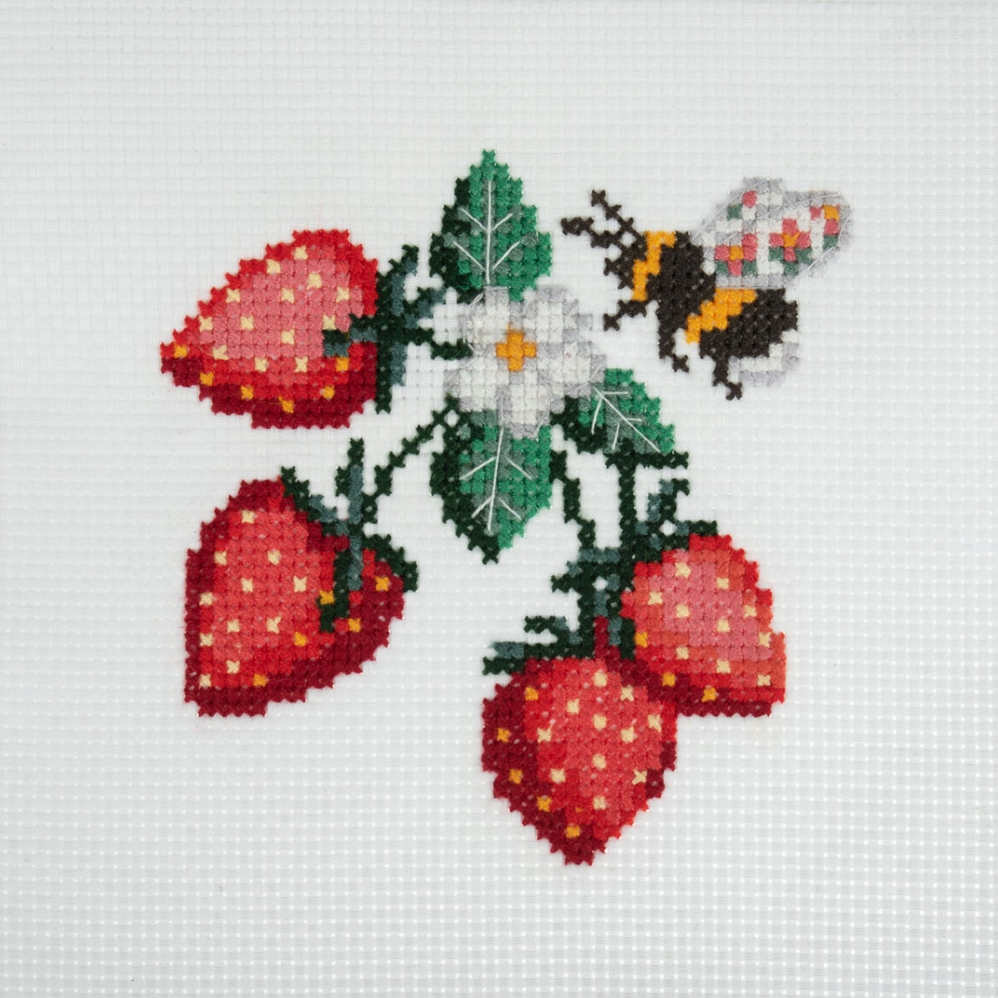 Trimits Stitch your Own Strawberries Cross Stitch Craft Kit