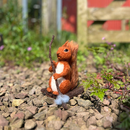 Beatrix Potter - Squirrel Nutkin Needle Felting Craft Kit