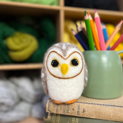 Baby Owl Needle Felting Craft Kit