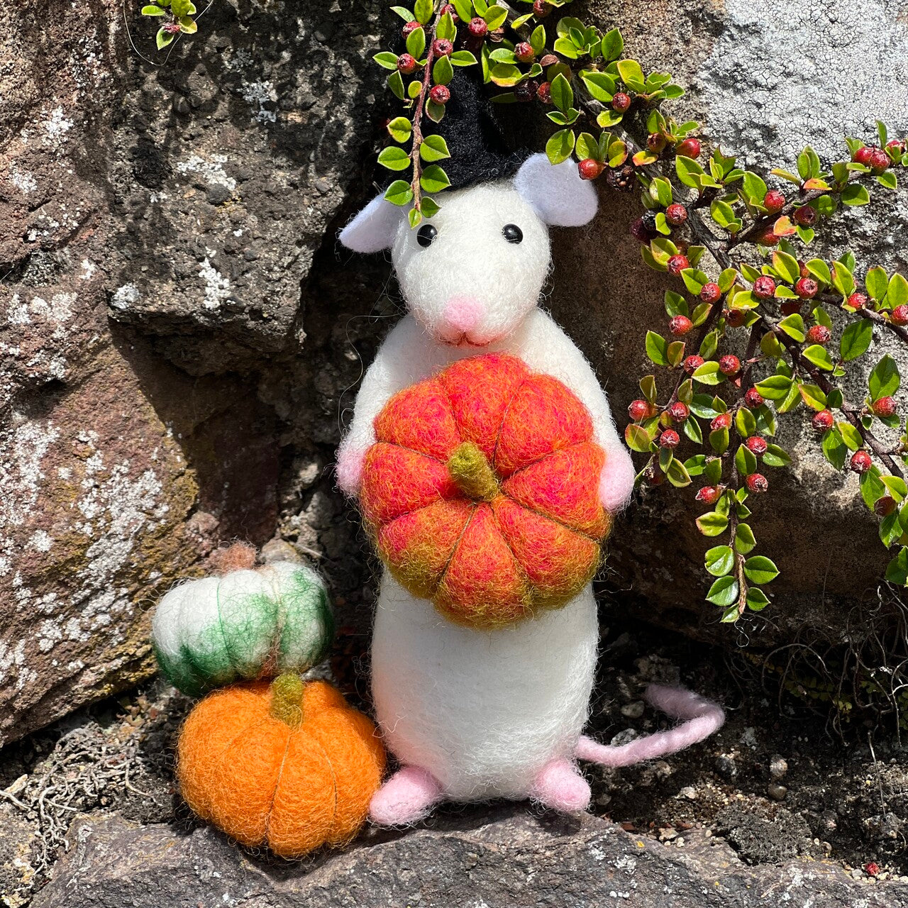 Hallowe'en Mouse Needle Felting Craft Kit