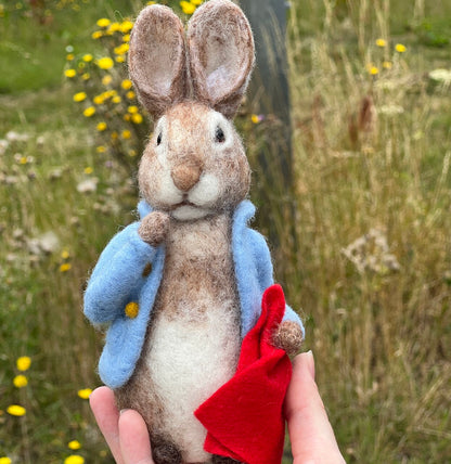 Beatrix Potter - Peter Rabbit and his Pocket Handkerchief Needle Felting Craft Kit