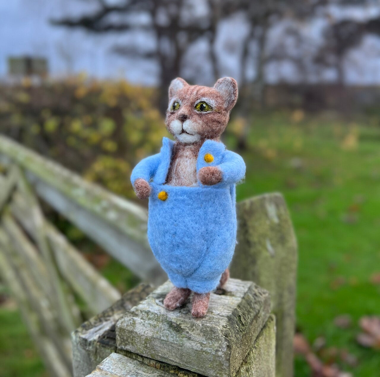 Beatrix Potter - Tom Kitten Needle Felting Craft Kit