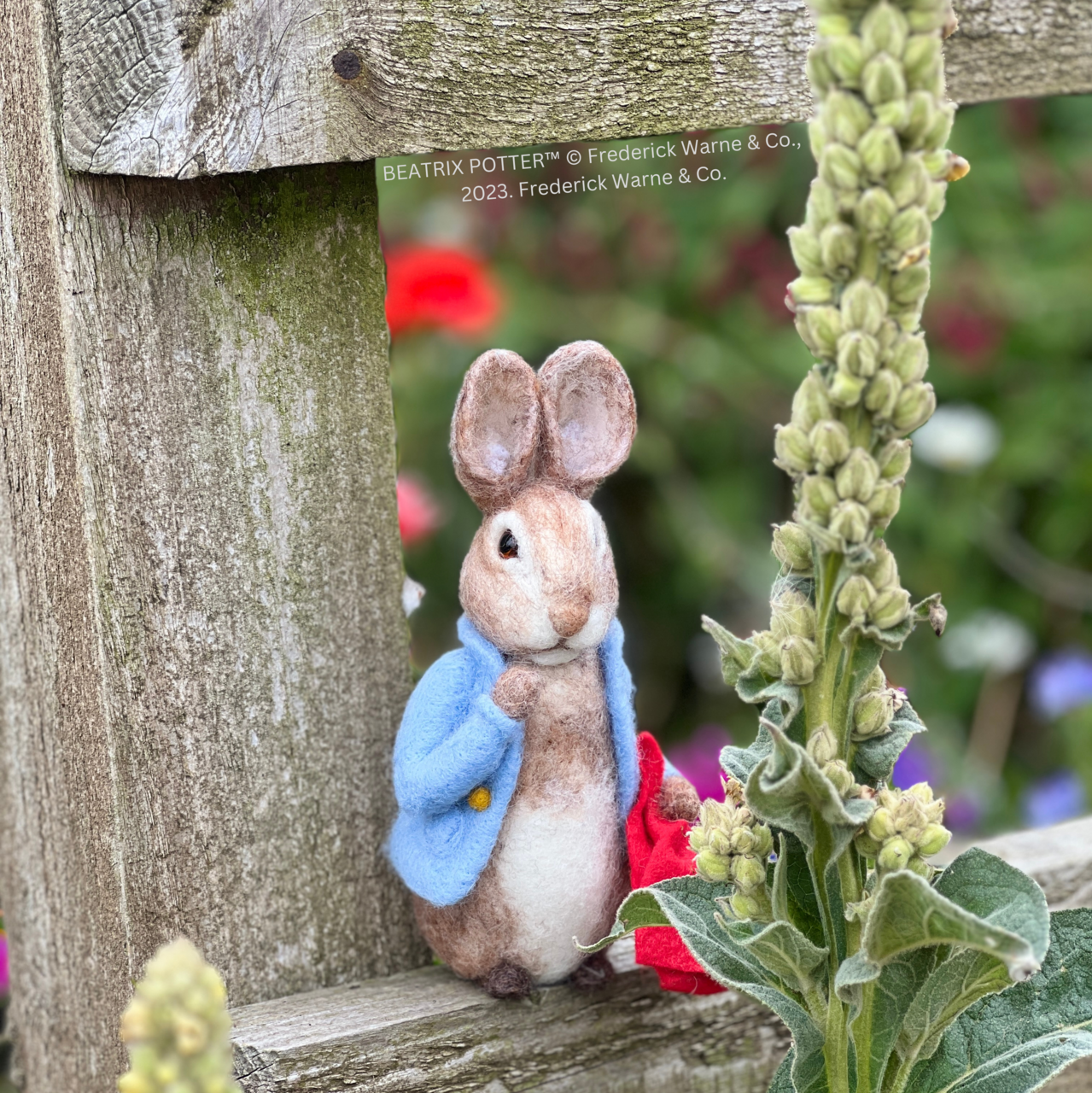 Beatrix Potter - Peter Rabbit and his Pocket Handkerchief Needle Felting Craft Kit