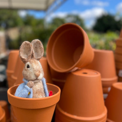 Beatrix Potter - Peter Rabbit and his Pocket Handkerchief Needle Felting Craft Kit