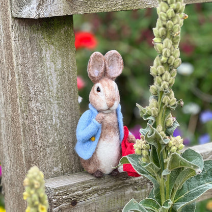 Beatrix Potter Needle Felting Bundle