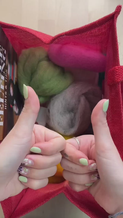 Beginner's Needle Felting Bundle