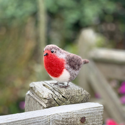 CKC Bird Needle Felting Bundle