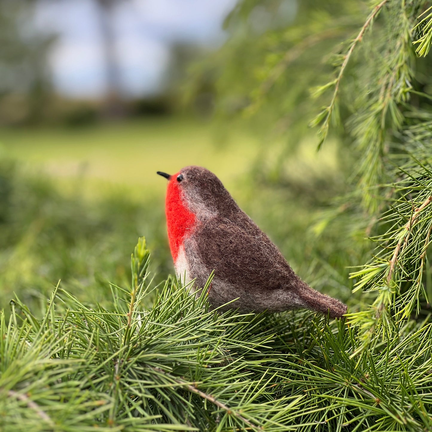 CKC Bird Needle Felting Bundle