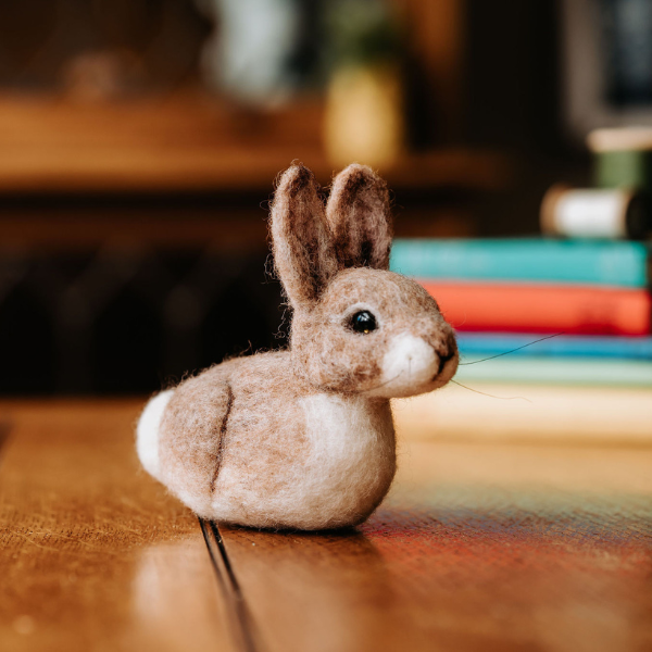 Baby Bunny Needle Felting Craft Kit